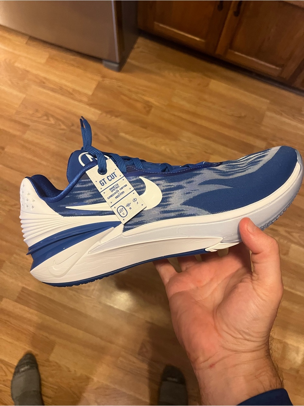 Mens nike air Zoom GT cut 2 TB P (DX6650 400) no box size 14